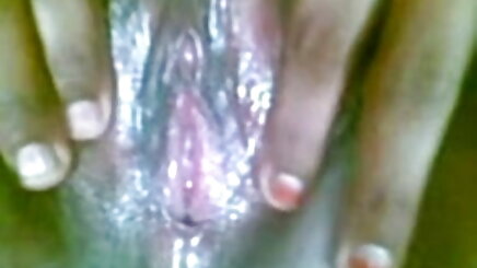 চেক